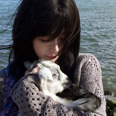 妖怪手表：诞生的秘密喵