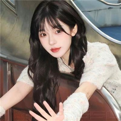 少林与咏春粤语